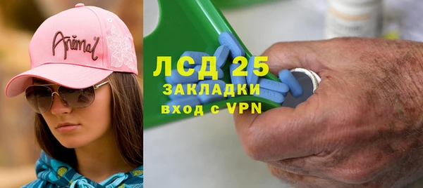 стаф Алзамай