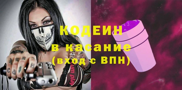 стаф Алзамай