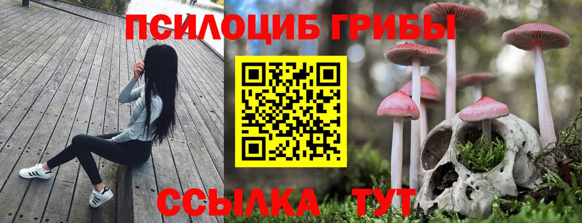 Псилоцибиновые грибы Magic Shrooms  Вход с VPN  Белореченск  Псилоцибиновые грибы MAGIC MUSHROOMS 